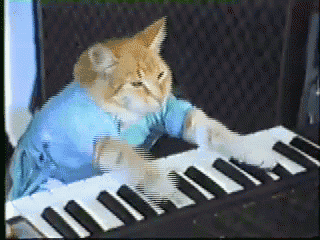 gif de um gatinho, vestindo uma blusa azul, tocando teclado