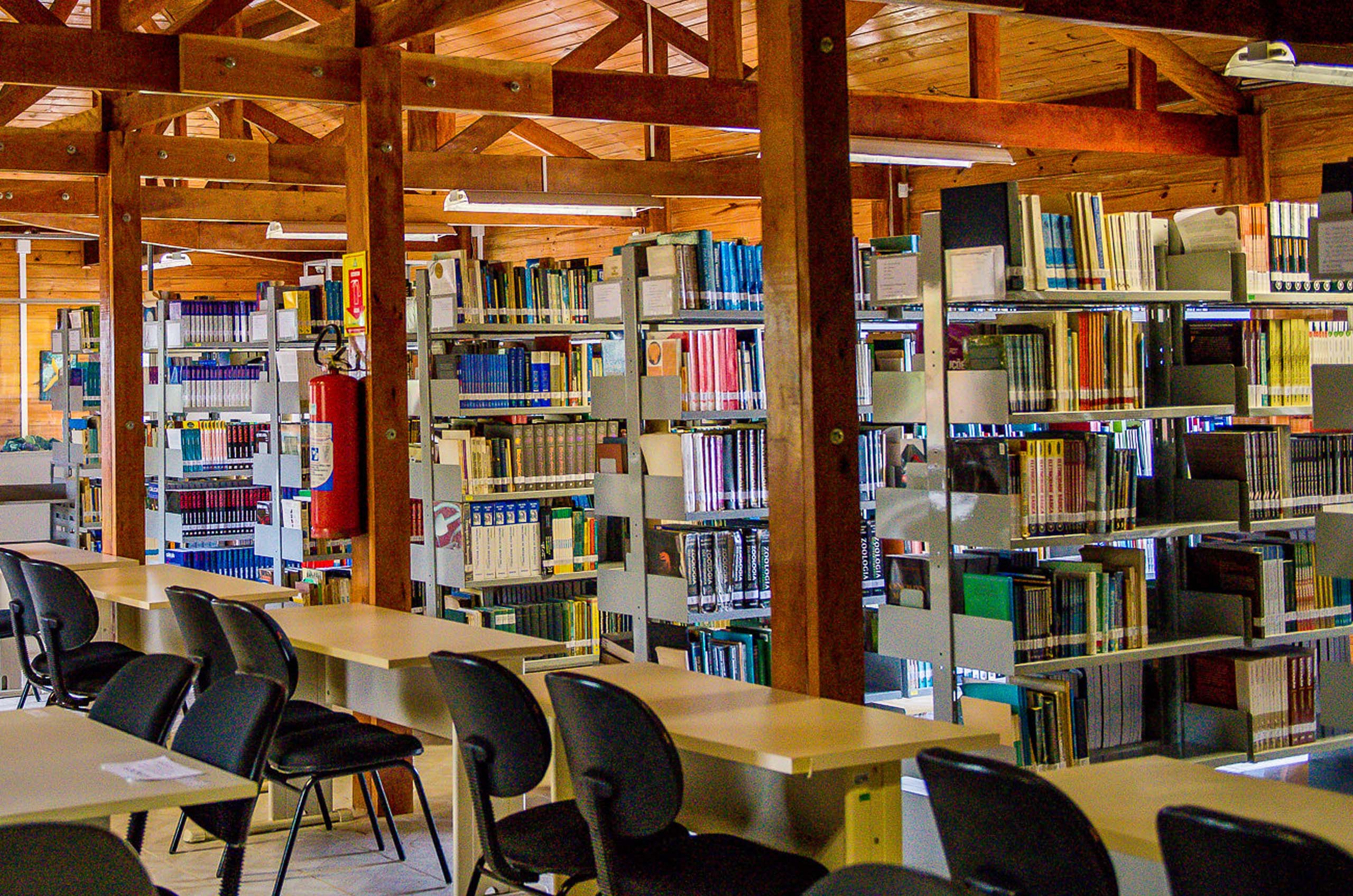 imagem mostra estantes com livros no interior da biblioteca do Centro de Estudos do Mar da UFPR