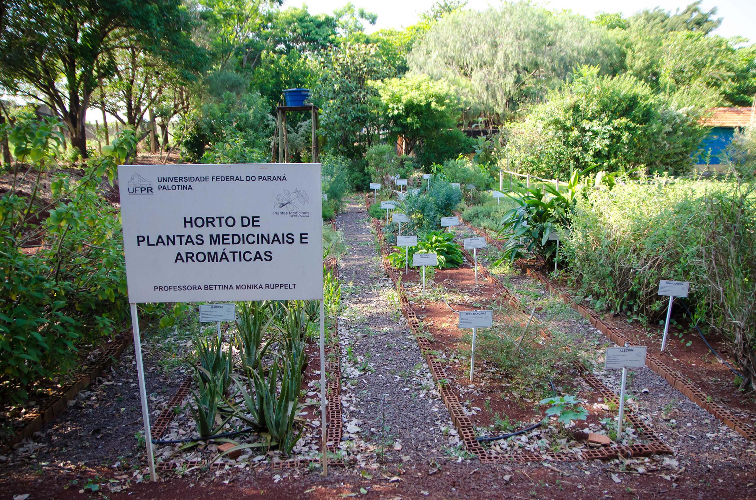 Imagem de um terreno não muito extenso onde se cultivam plantas. A imagem mostra uma placa em primeiro plano com o título: Horto de plantas medicinais e aromáticas.