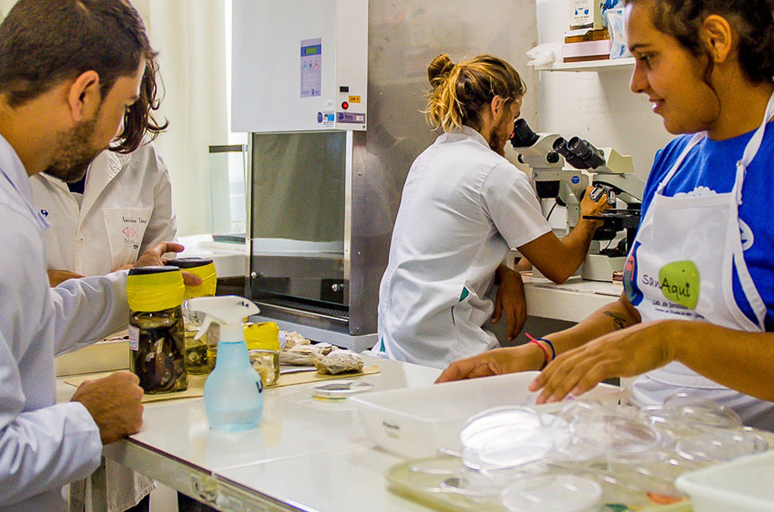 imagem mostra estudantes realizando atividades práticas em laboratório no Centro de Estudos do Mar da UFPR.