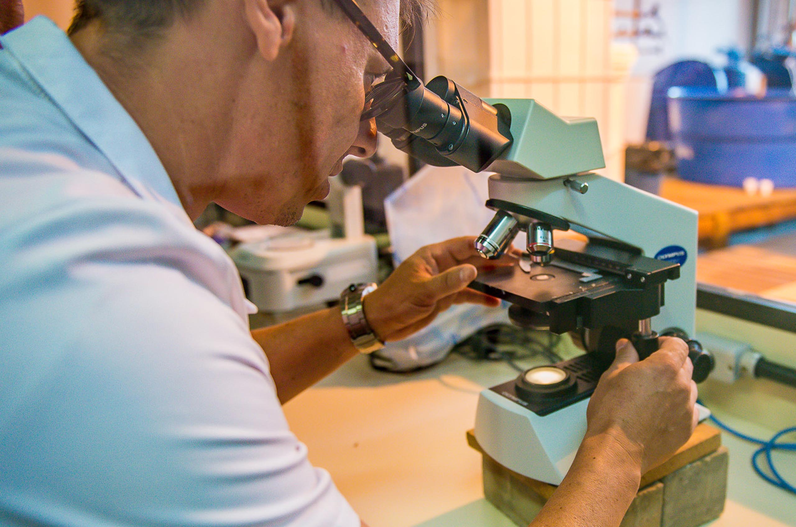 Imagem mostra professor do Centro de Estudos do Mar da UFPR analisando material no microscópio