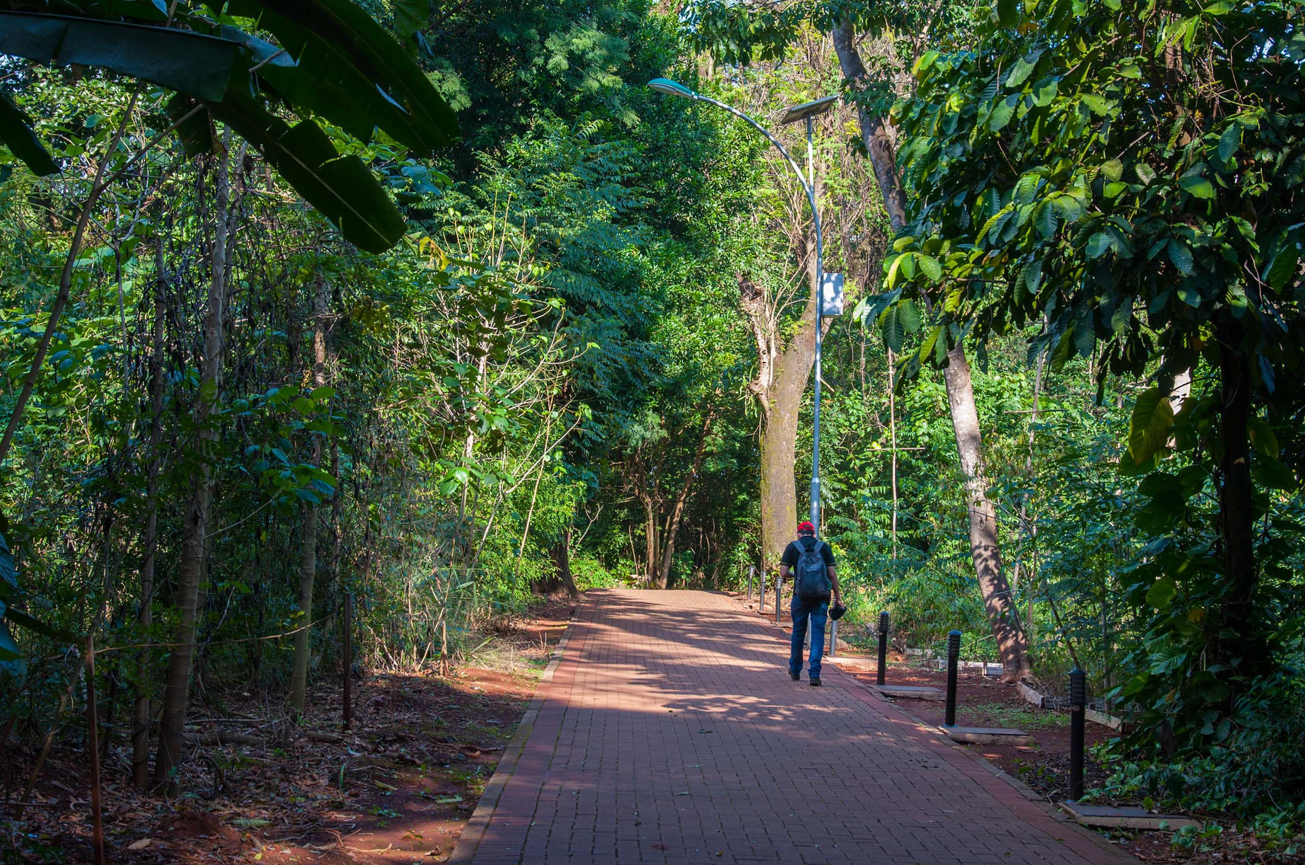 homem passeia em caminho