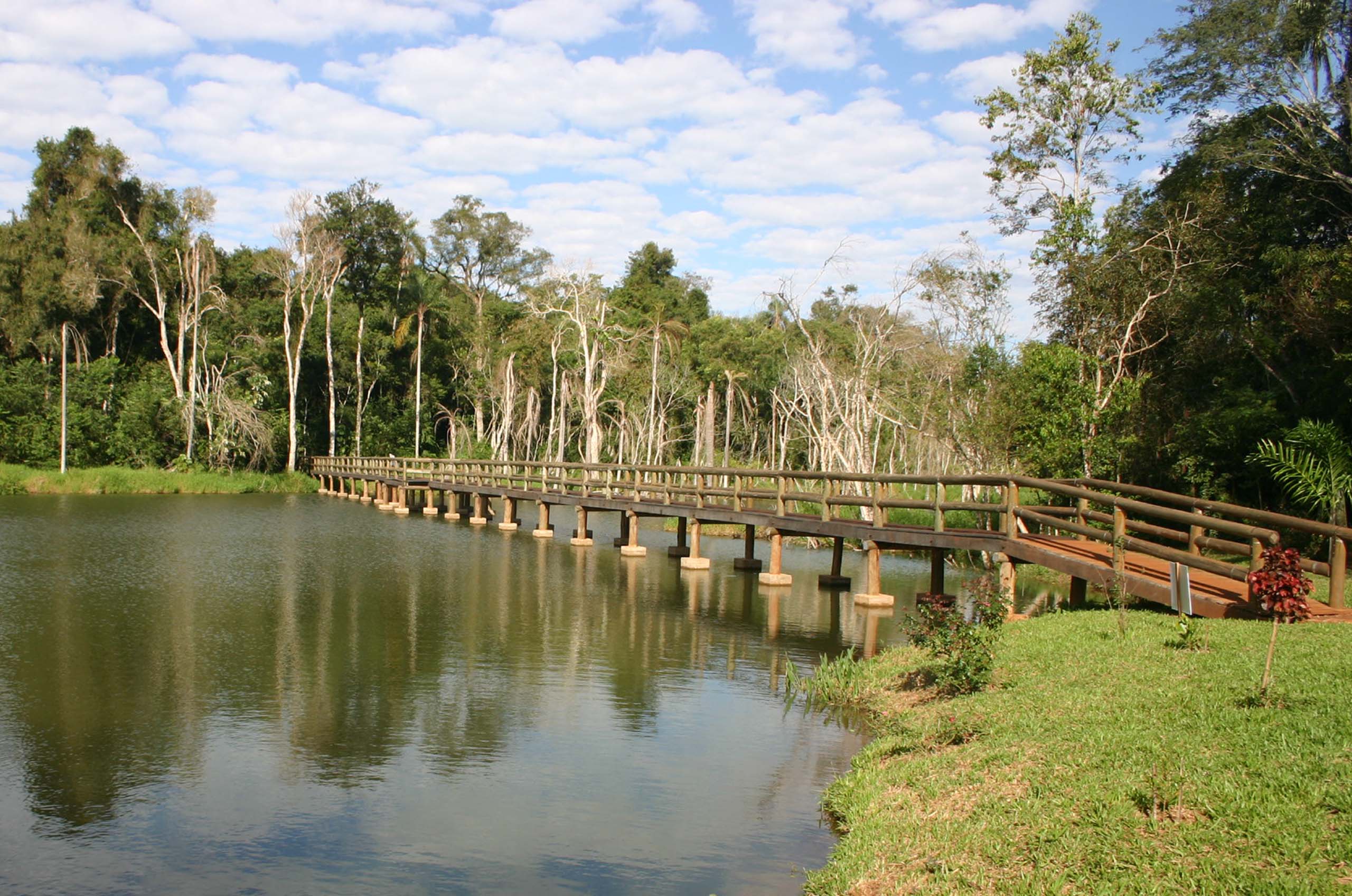 Foto de área verde - ponte ao fundo e um lago no canto esquerdo.