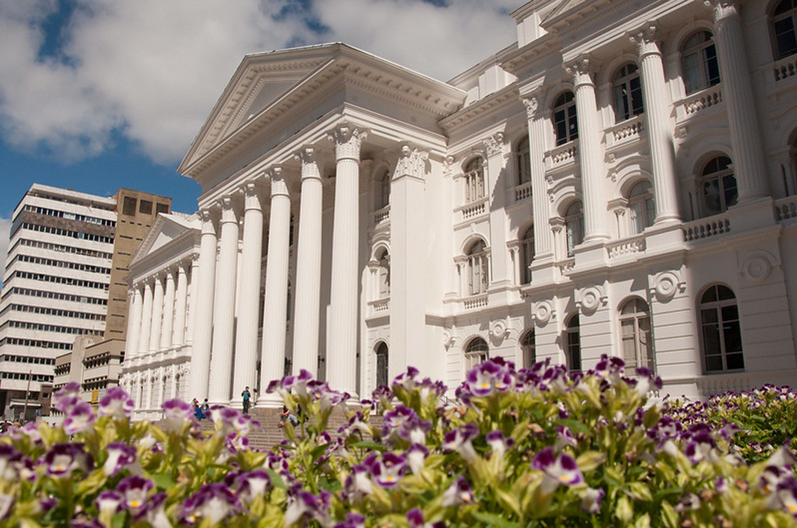 Em primeiro plano flores roxas e ao fundo um prédio grande branco com seis colunas principais, com muitas janelas e escadaria para acesso